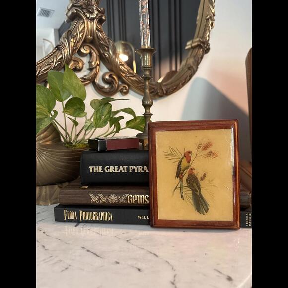 Retro Wooden Plaque with Parrots - Picture 2 of 5